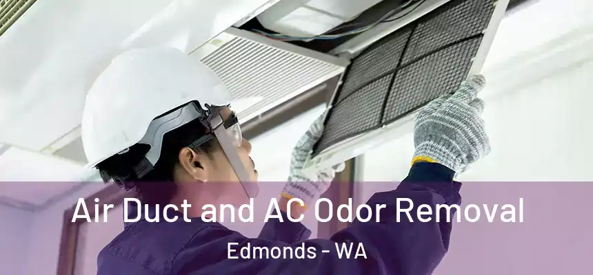  Air Duct and AC Odor Removal Edmonds - WA
