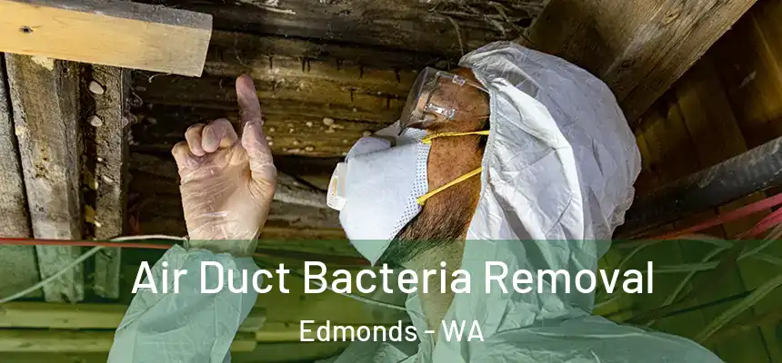  Air Duct Bacteria Removal Edmonds - WA