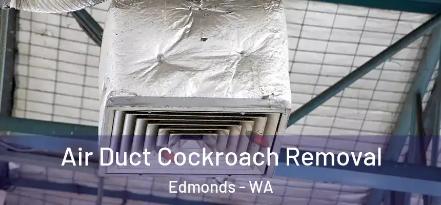  Air Duct Cockroach Removal Edmonds - WA