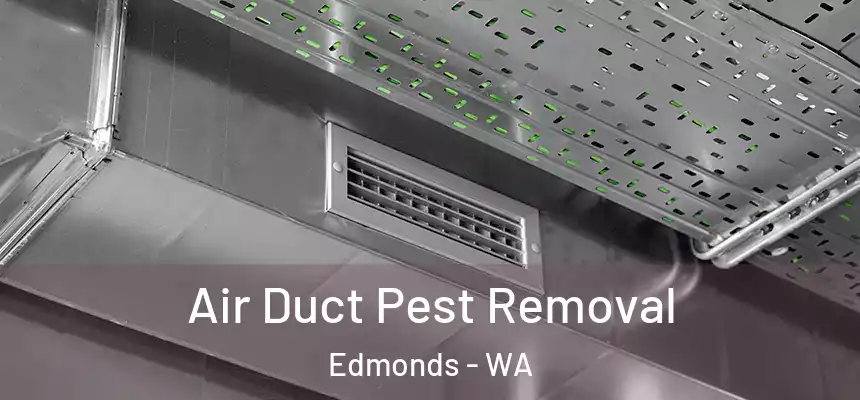 Air Duct Pest Removal Edmonds - WA