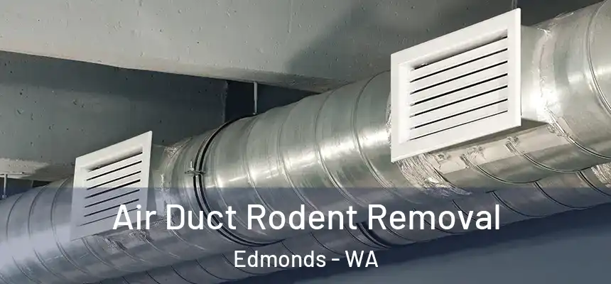  Air Duct Rodent Removal Edmonds - WA