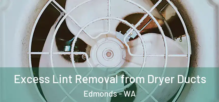  Excess Lint Removal from Dryer Ducts Edmonds - WA