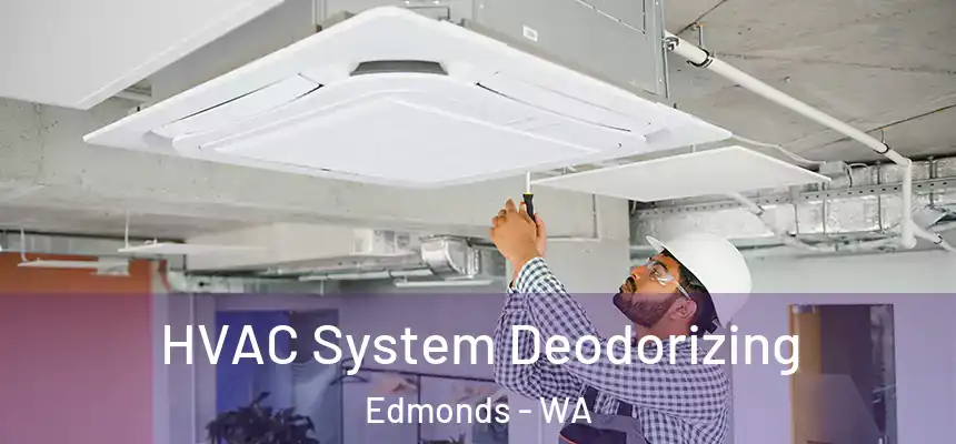  HVAC System Deodorizing Edmonds - WA