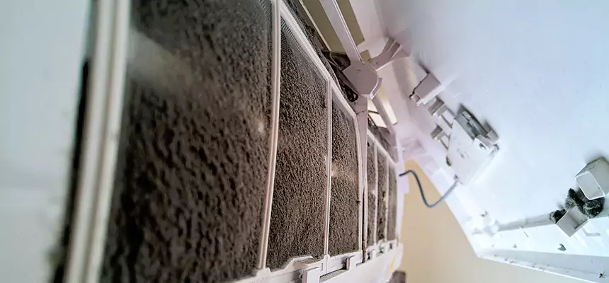 Preventive Air Duct Bacteria Removal in Edmonds