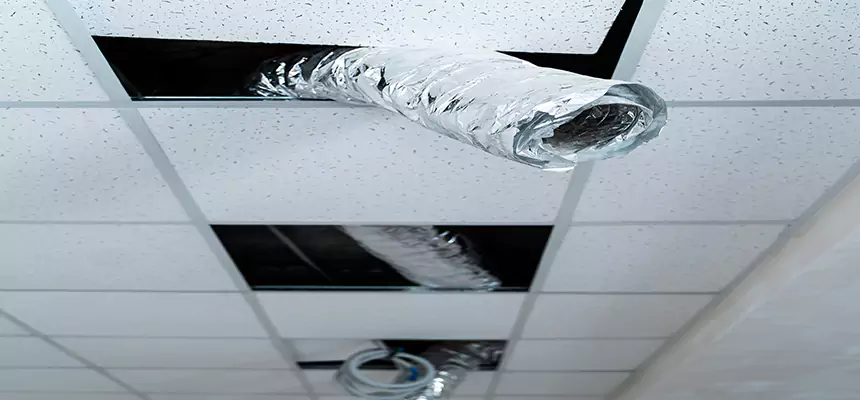 Our Air Duct Pet Hair Removal Services in Edmonds, WA