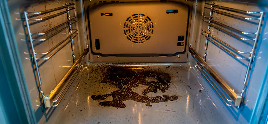 Our Dryer Vent Mold Cleaning Services in Edmonds, WA