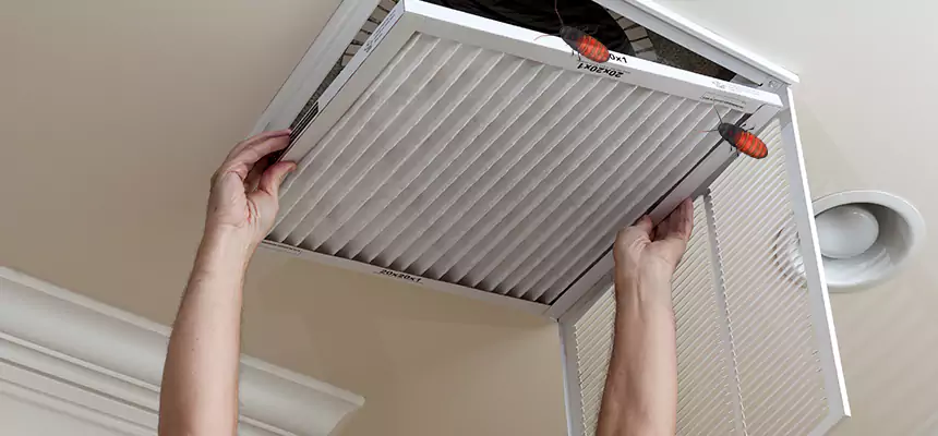 Our Insect Removal from Air Ducts Services in Edmonds, WA