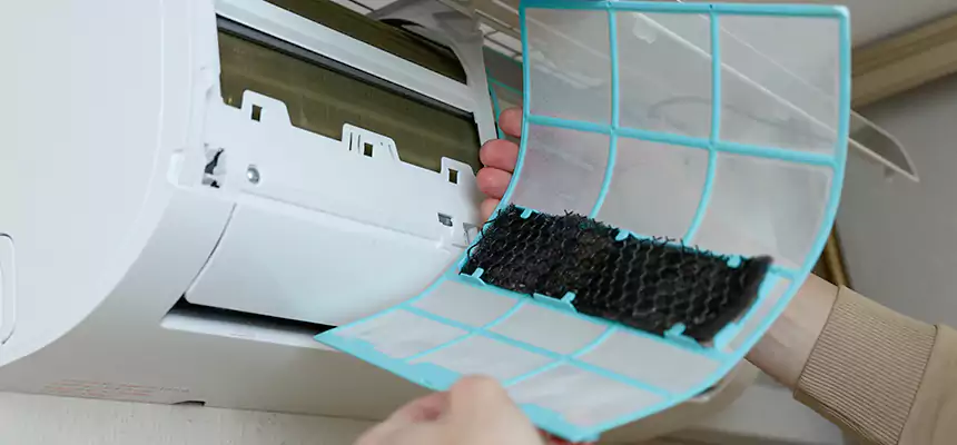 Gentle Ductwork Odor-Control Pet Dander Duct Cleaning in Edmonds, WA