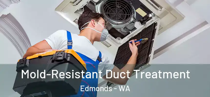 Mold-Resistant Duct Treatment Edmonds - WA