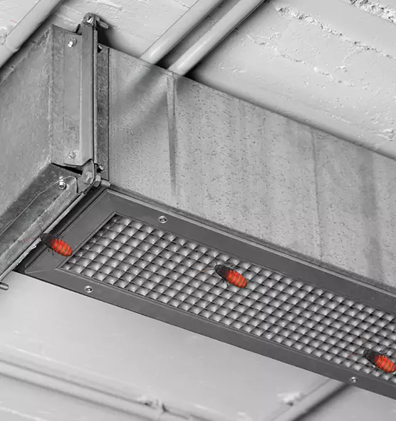 About Air Duct Cockroach Removal in Edmonds, WA