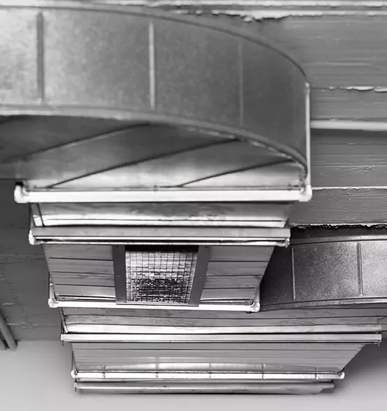 Professional Air Duct Pest Removal in Edmonds, WA