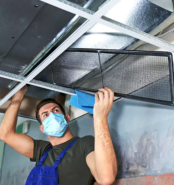 Professional Air Duct Pollen Cleaning in Edmonds, WA