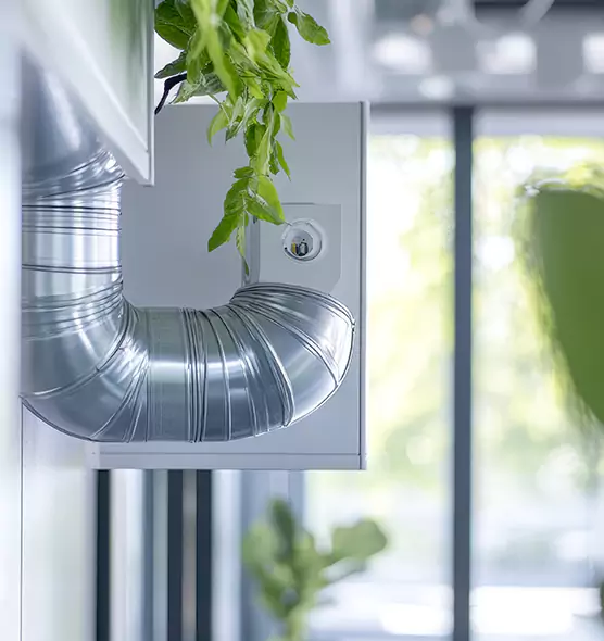 Professional Eco-Friendly Duct Cleaning Services in Edmonds, WA