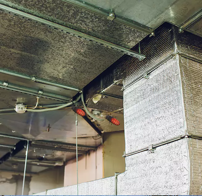 Why Homeowners & Businesses Trust Us in Edmonds, WA?