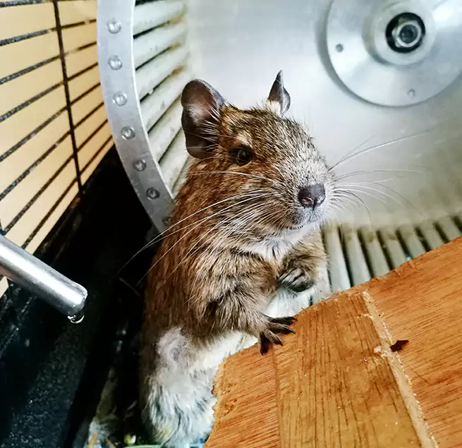 Why Homeowners & Businesses Trust Us Edmonds, WA?